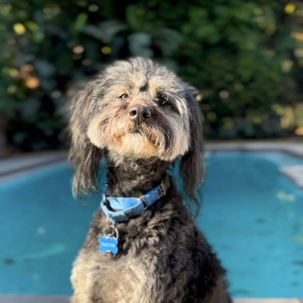 15b9a2b5-7fd0-4153-a75a-11a09731071a