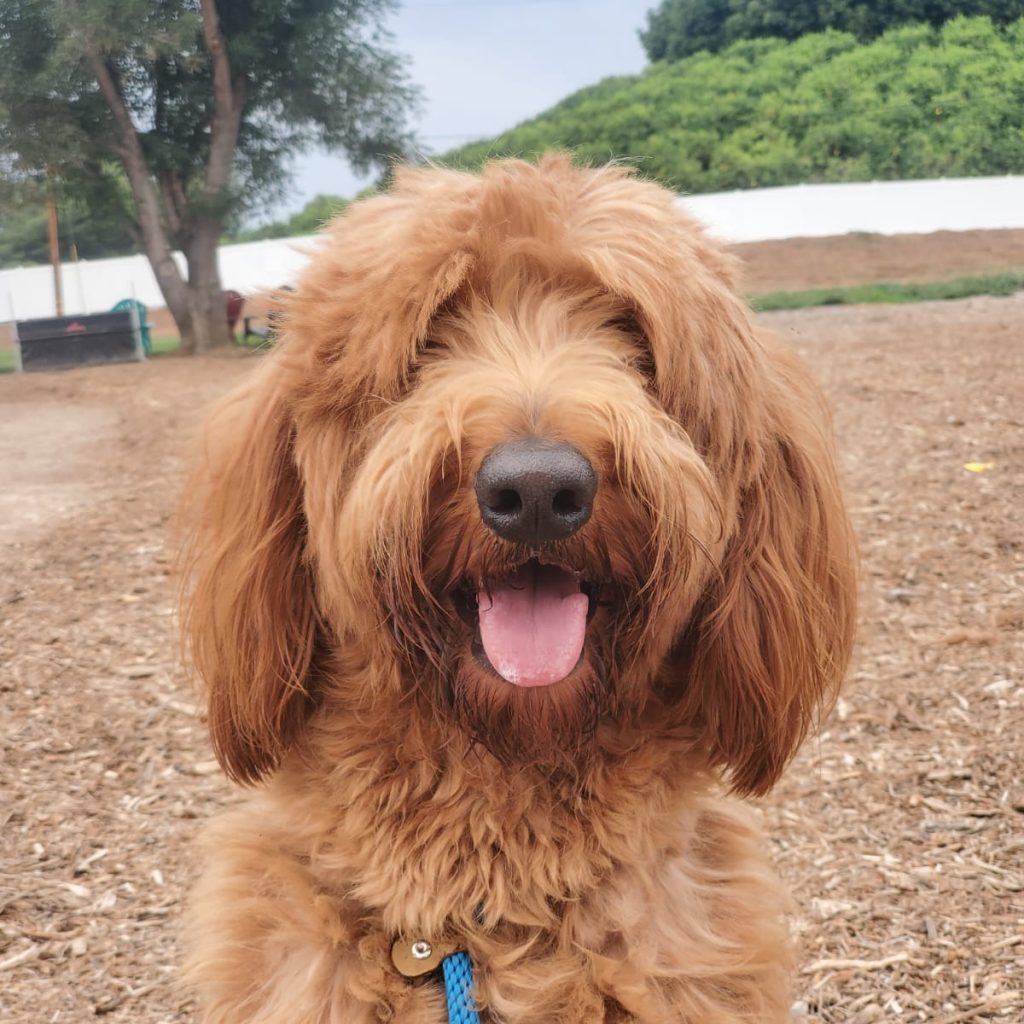 25e18a3a-7129-4172-9bbd-95c9642816e7