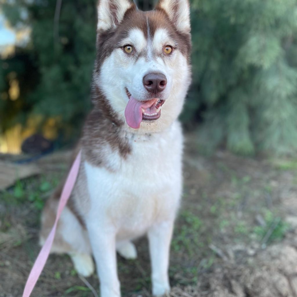 29ec1341-1ba7-4c2b-95f7-33d4f069b018