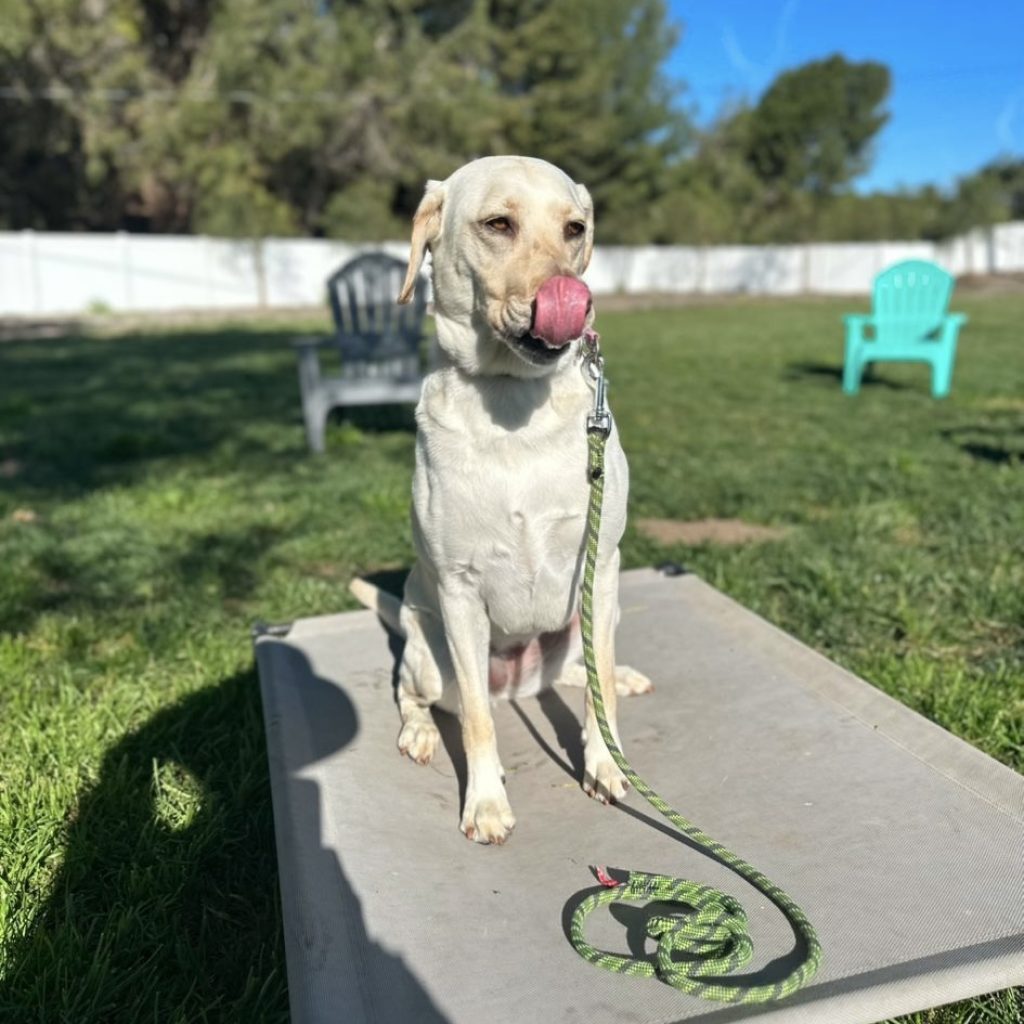 311c342e-ef1b-411c-85c7-b19181793e3e