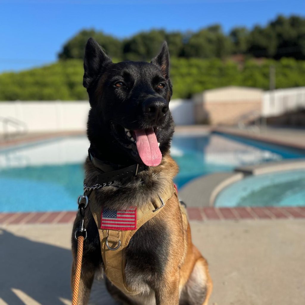 3b8e2e3b-5125-4a30-b218-c69c19cbc535