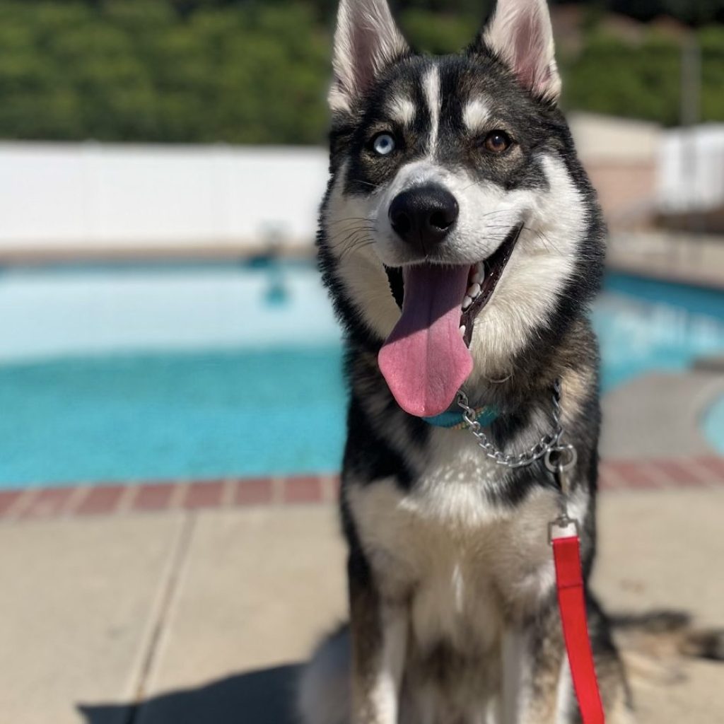 40b11fde-a7f1-4dc6-98cc-922d85b69b61