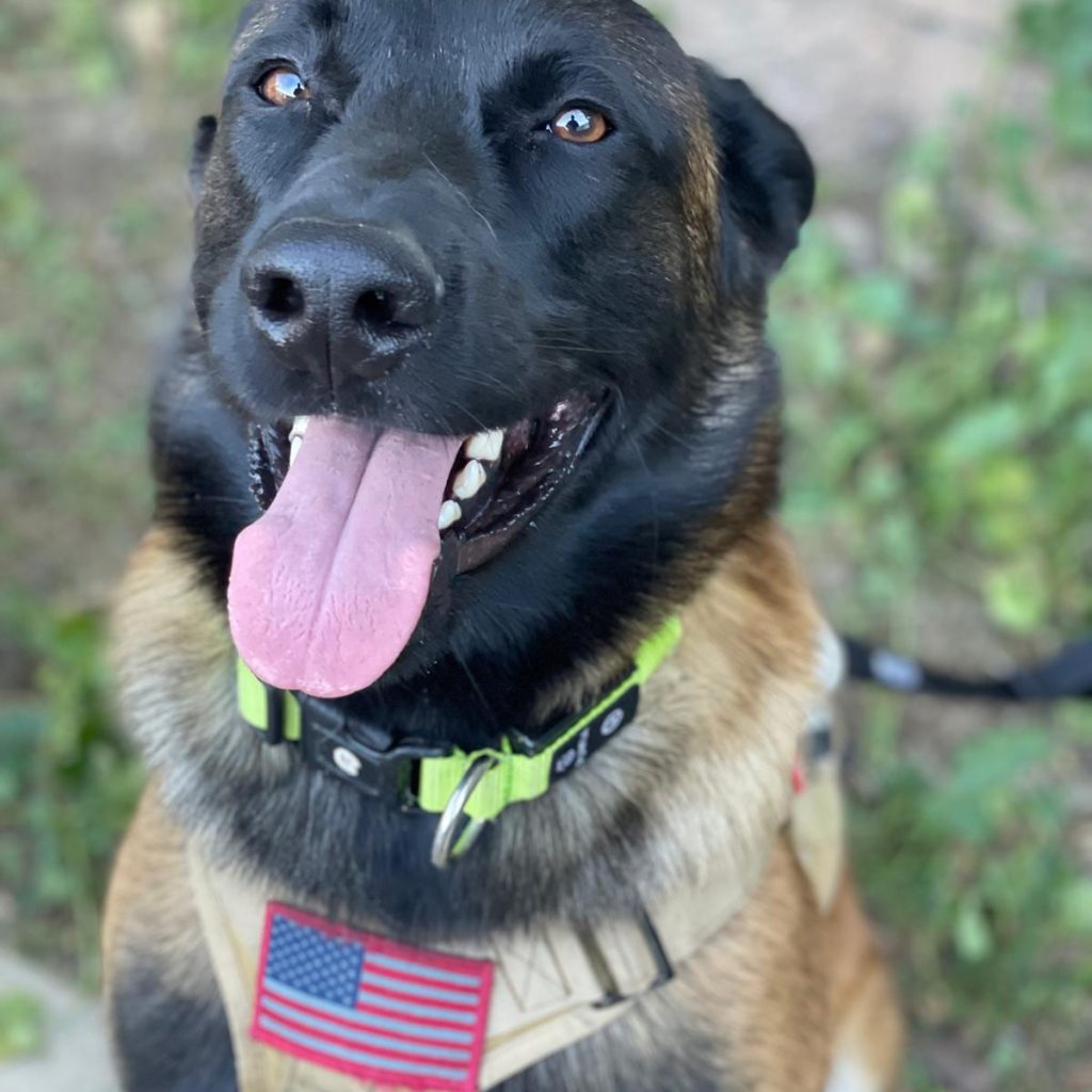 4205c756-813e-46f5-ac0a-62b8365b1bb0