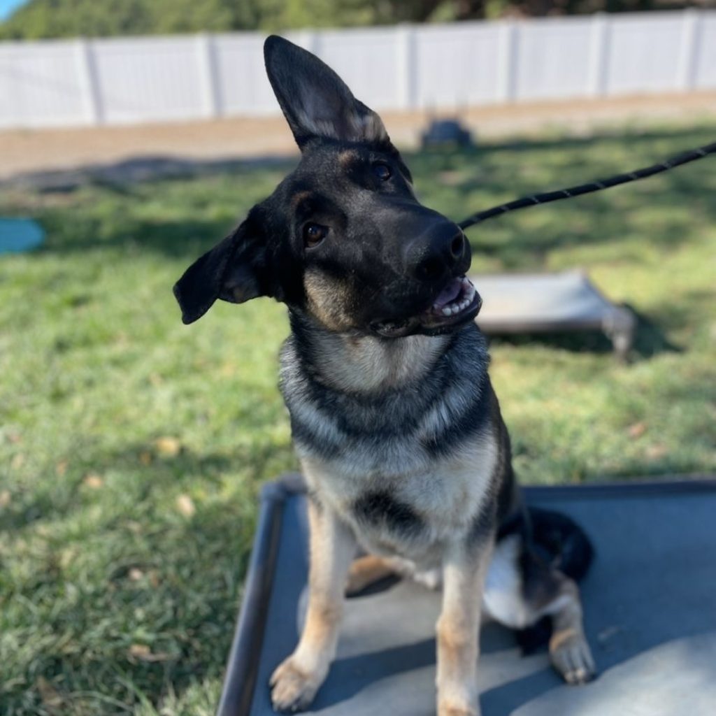 78976f55-87b8-4a63-8312-75c1c92a7f14