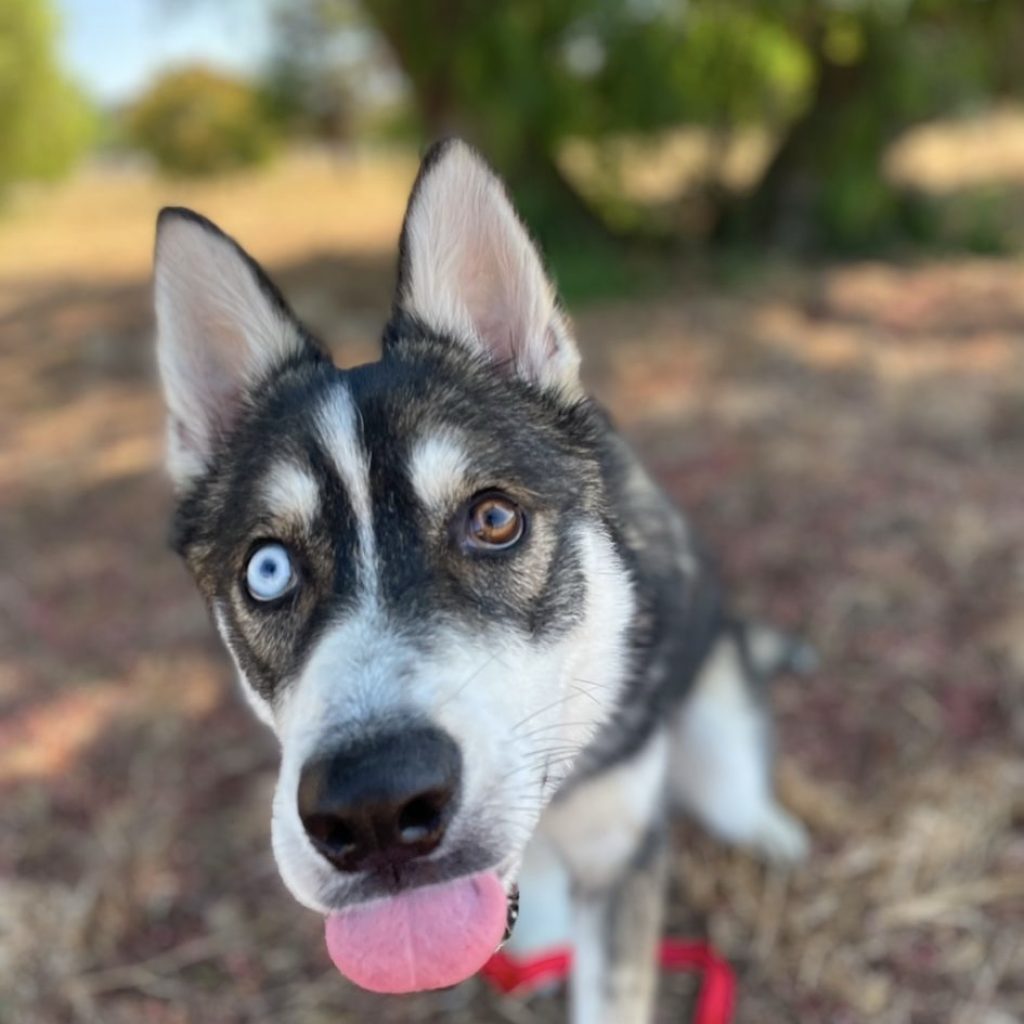 8e478270-6f28-44f9-a02b-3069a7006433