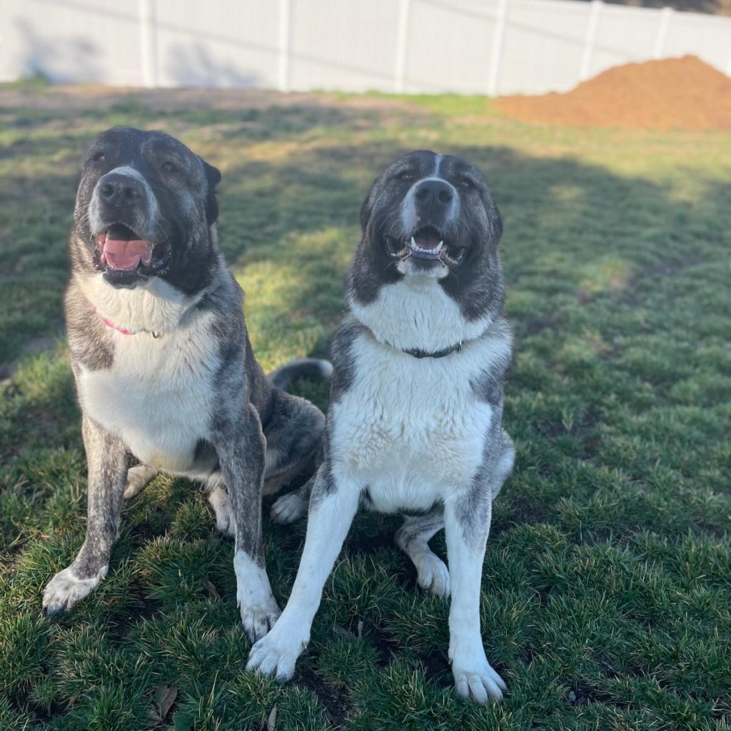 8e73f8af-5e81-40c6-86b9-69f1a7c0fc64