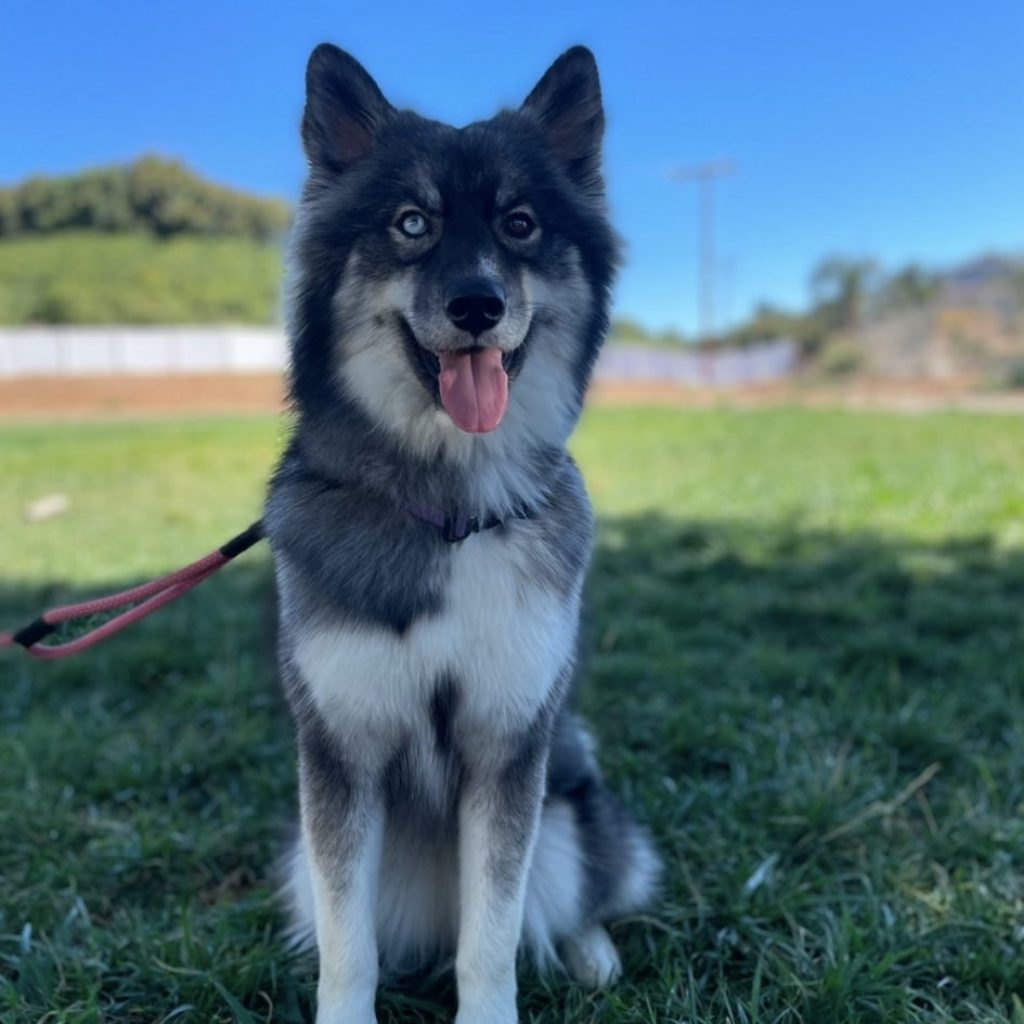 921c93cd-416f-41ab-9861-8ceaca7b8613