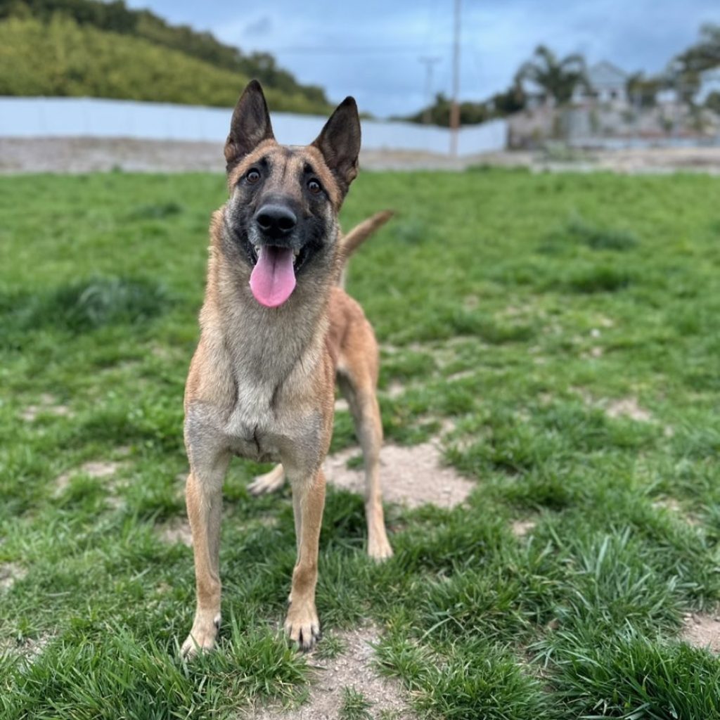 a7ae8a31-449f-4d4b-93b5-93428703091f