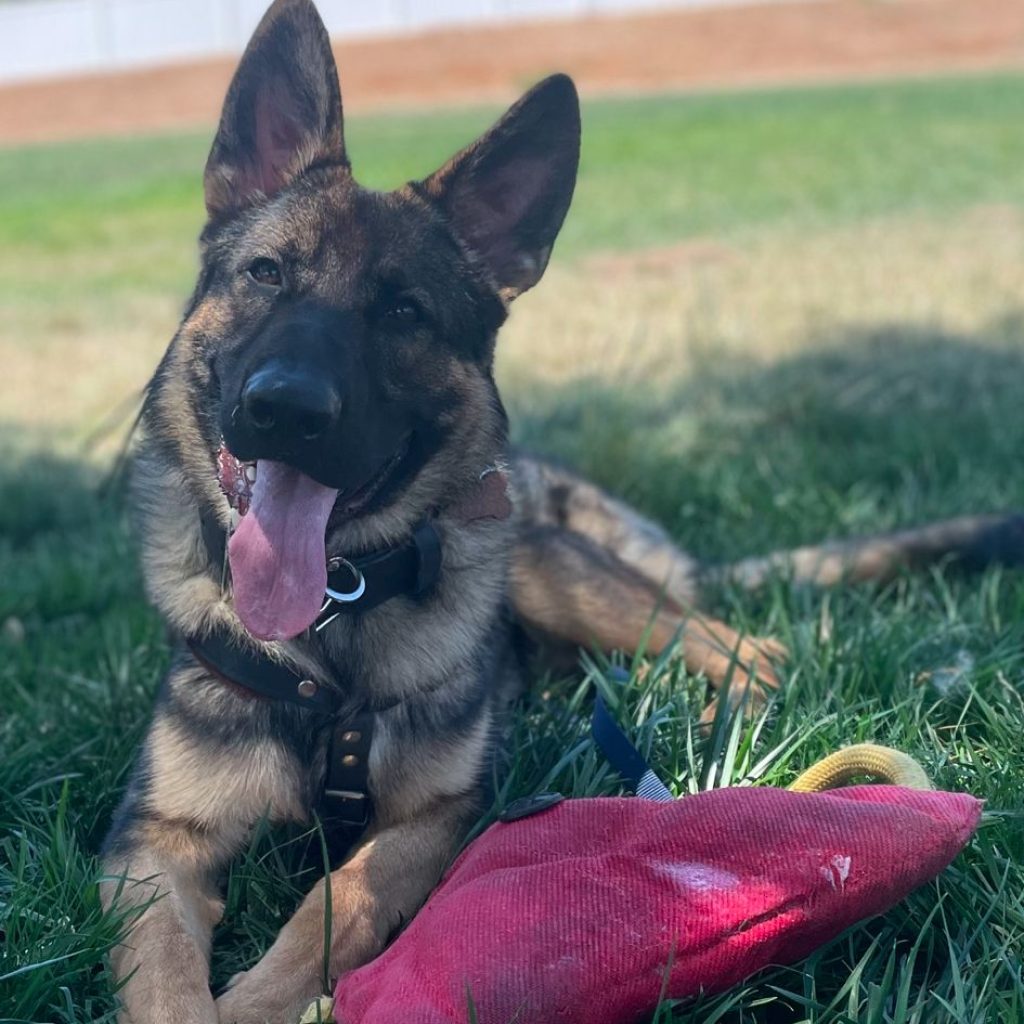 accc0286-7b51-4405-971d-0c6b6dc788f9