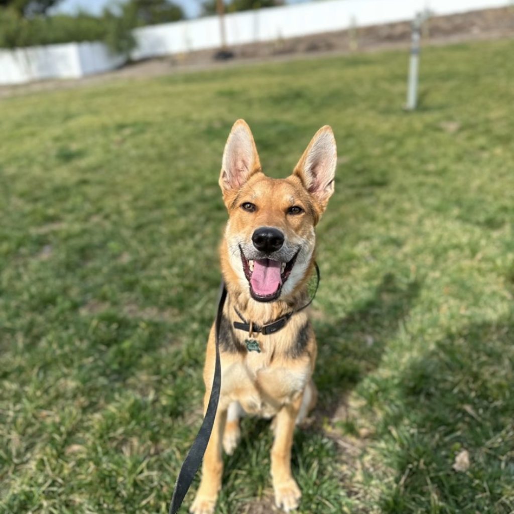 b26c549e-ad57-4432-ab45-35573992fcf6