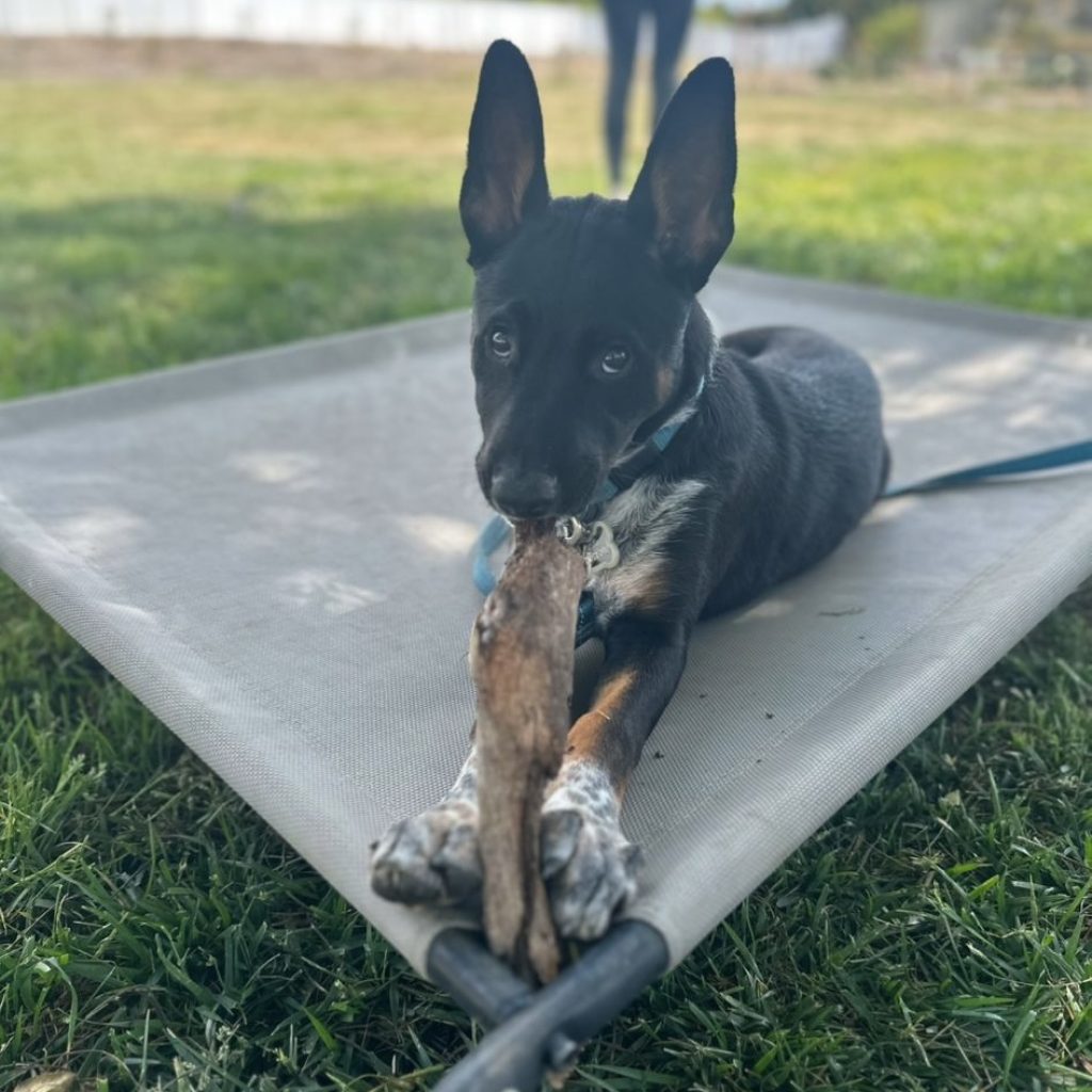 b6fb2943-4ca2-4e7a-a9fe-85b8ca506a2f