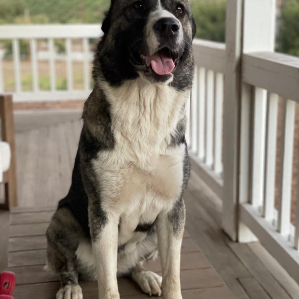 b8b41591-76bc-4f6f-a18d-427f75feb6da