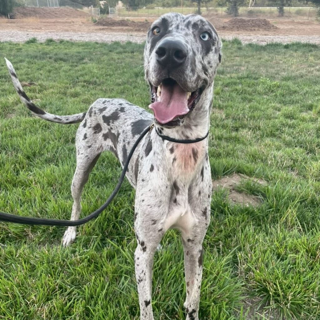 bf9821b8-36a3-4ad2-a20e-6ff0e7550307