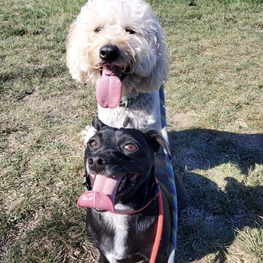 cb2c25c2-e0e0-4163-9c00-9a31ed386330