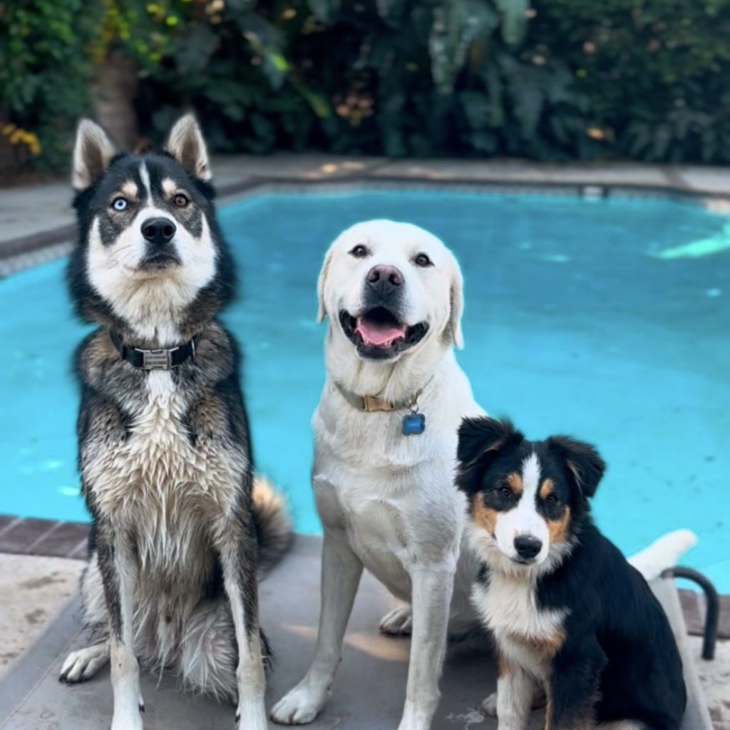 cf4b7003-ed94-4852-8dc3-bd07390b4ec0