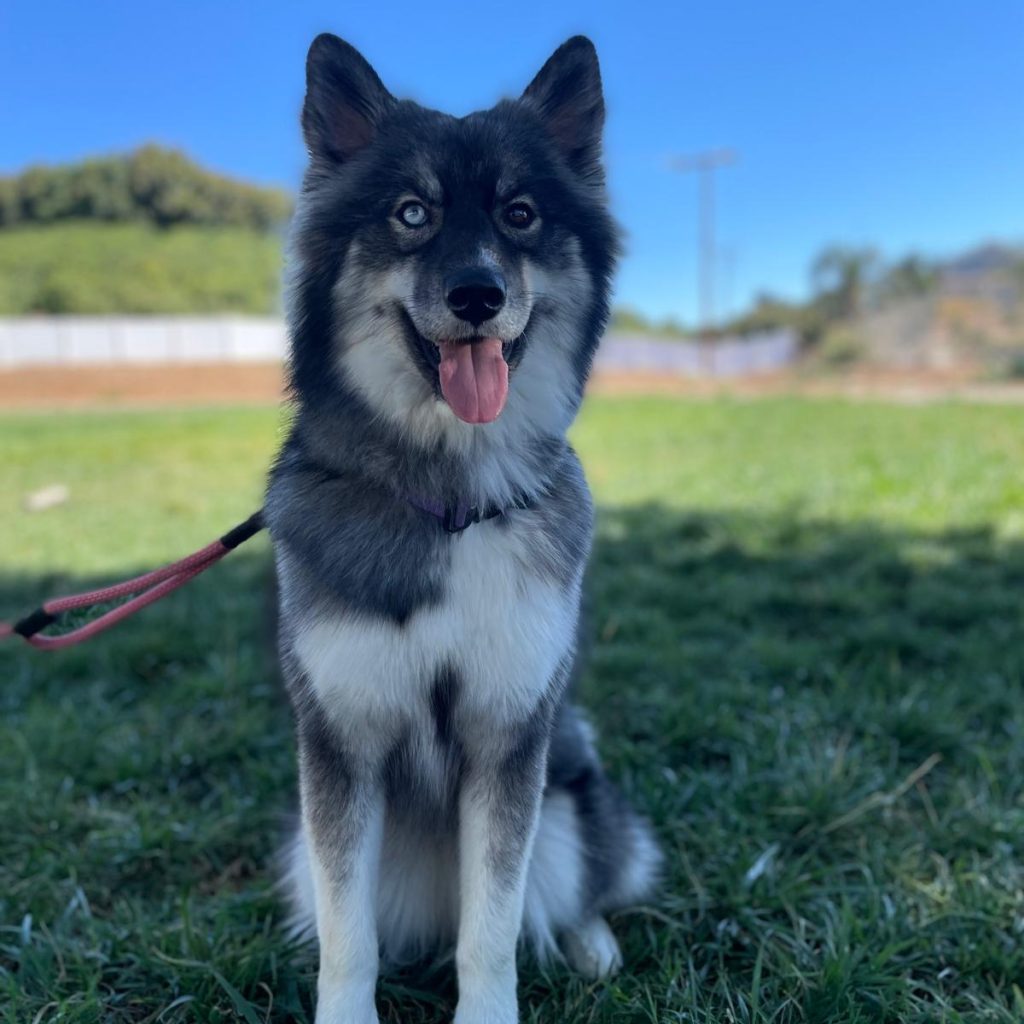 ddc9599f-1a44-4a9e-89c8-f0a8c0ff4cd6