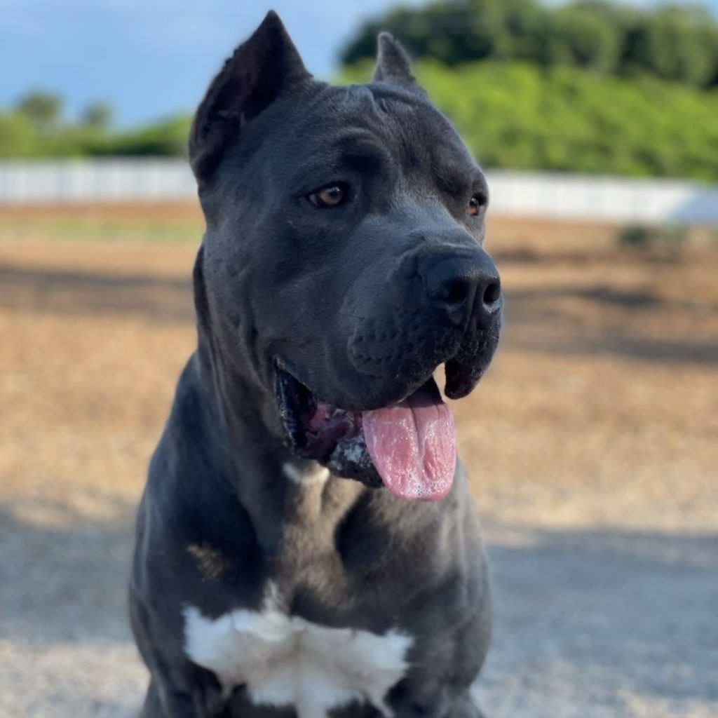 fca4b6ef-eb67-4a32-9522-5fa658dd2673