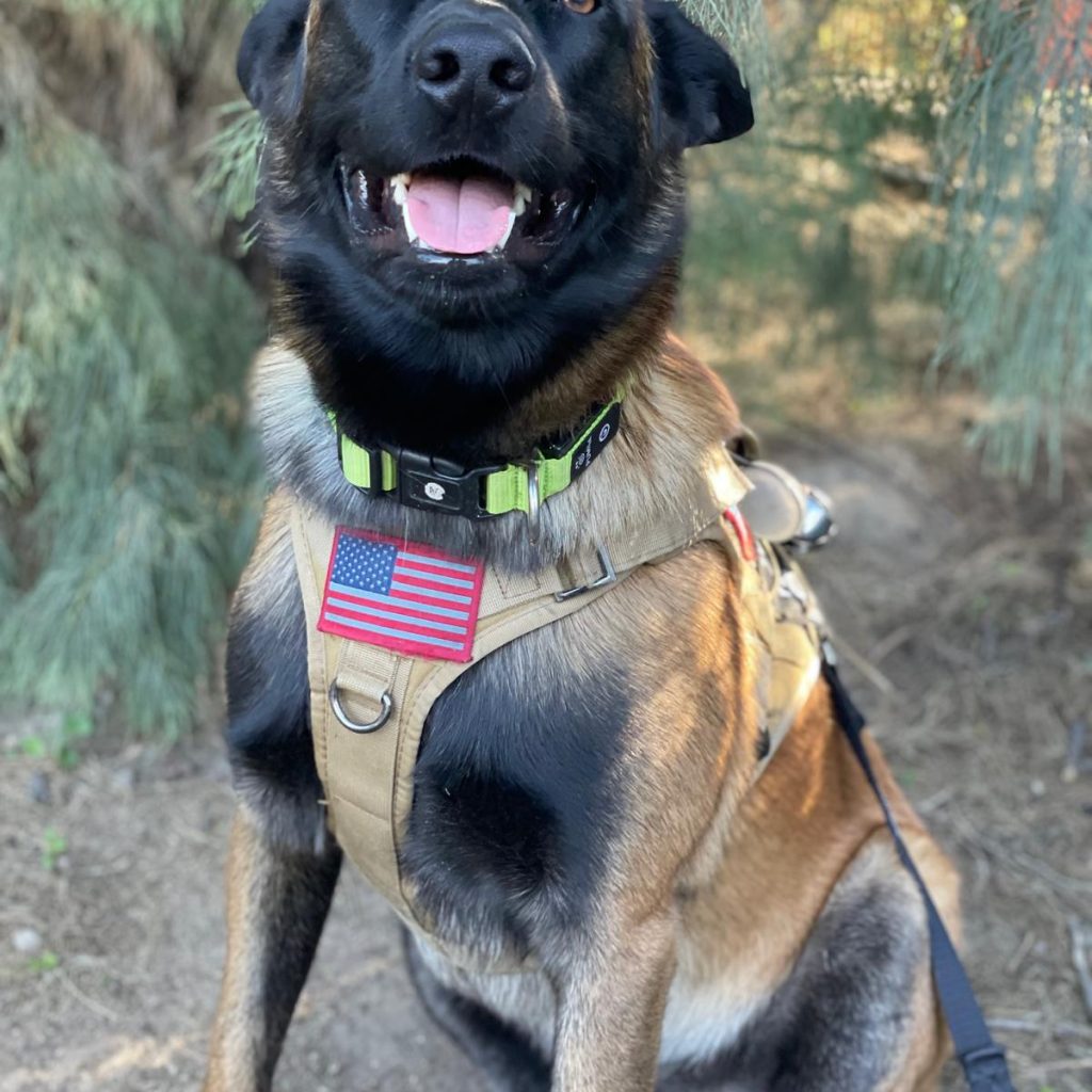 fdb8d1a0-4d42-40b2-a696-1074da3c16c9